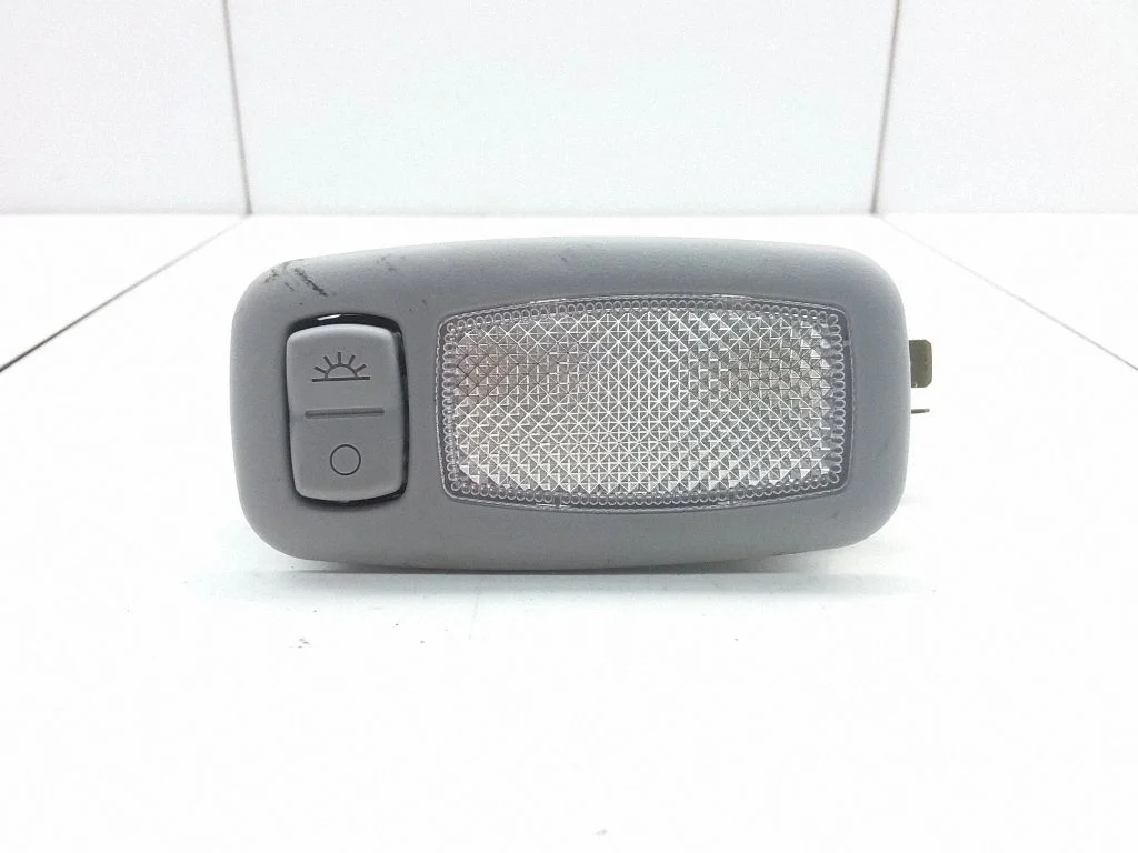 Front seat light 928913SXXX