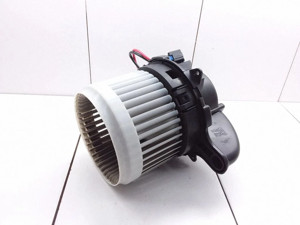 Krāsniņas ventilators/pūtējs – Renault Zoe (2012-)