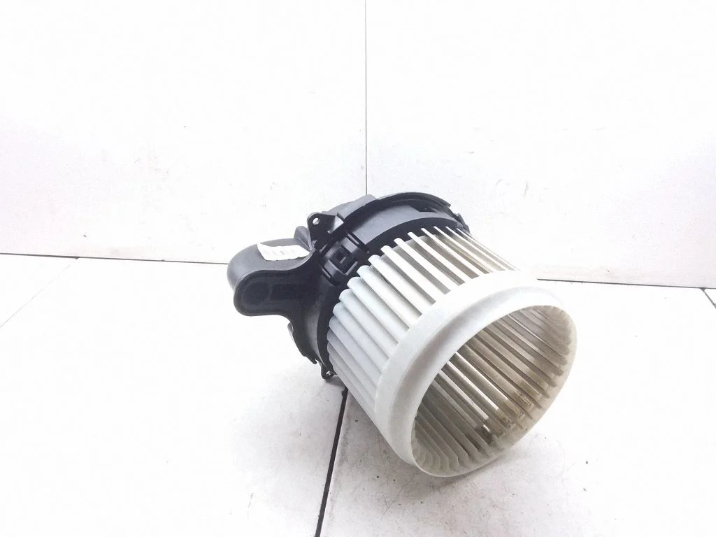 Krāsniņas ventilators/pūtējs – Renault Zoe (2012-)