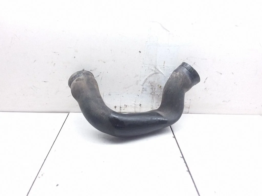 Engine coolant pipe/hose 2025014382