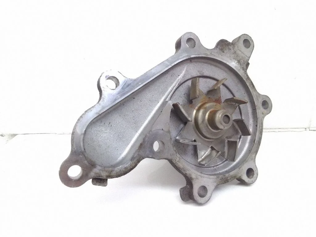 Water pump WAYD1