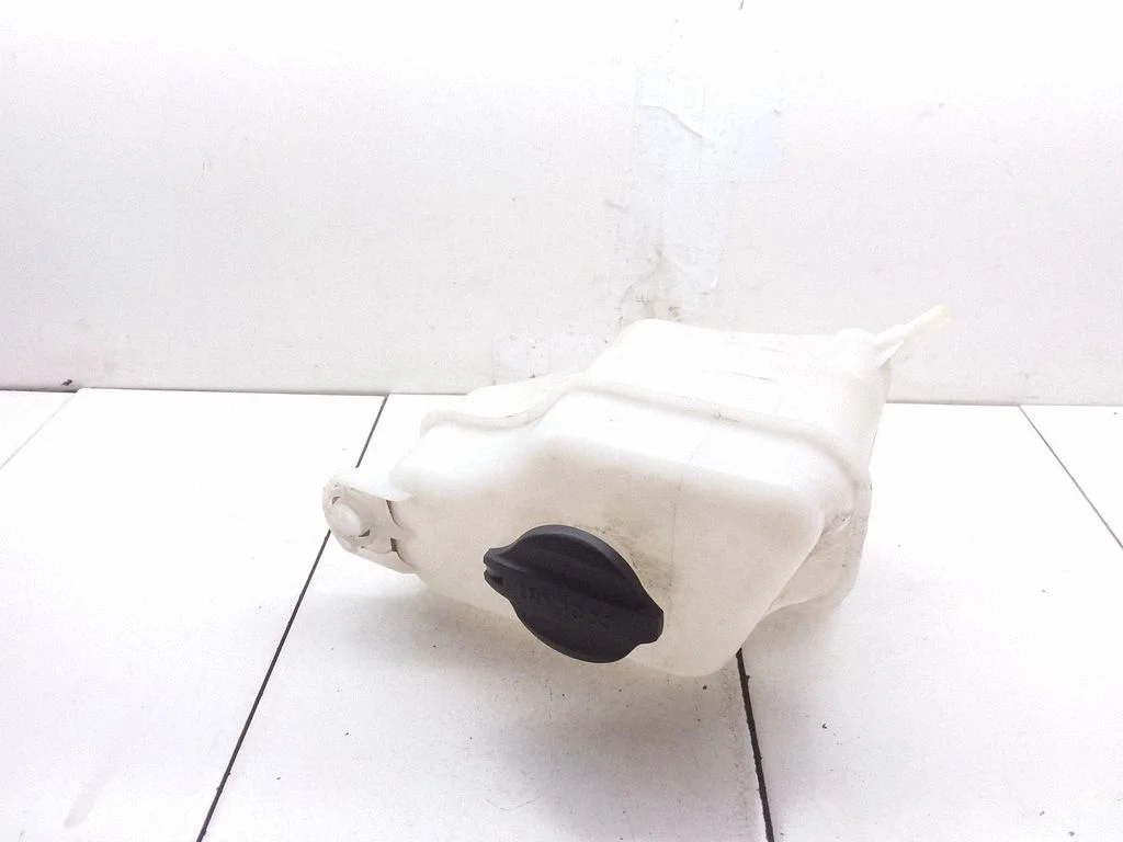 Coolant expansion tank/reservoir 254302W000