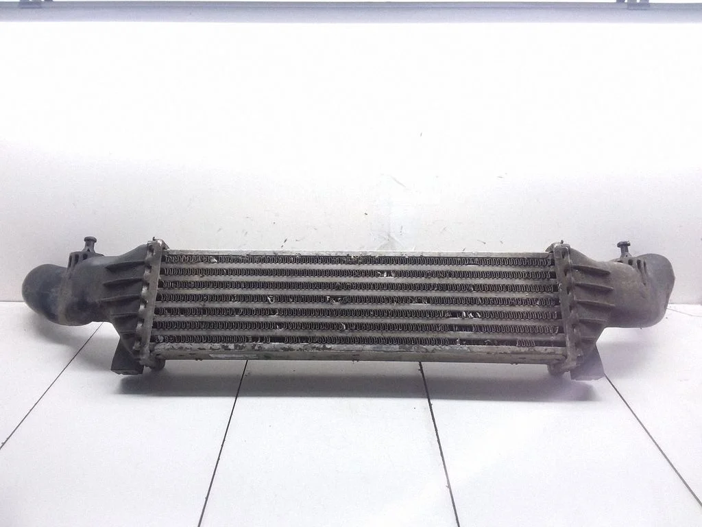 Intercooler radiator A2025001100