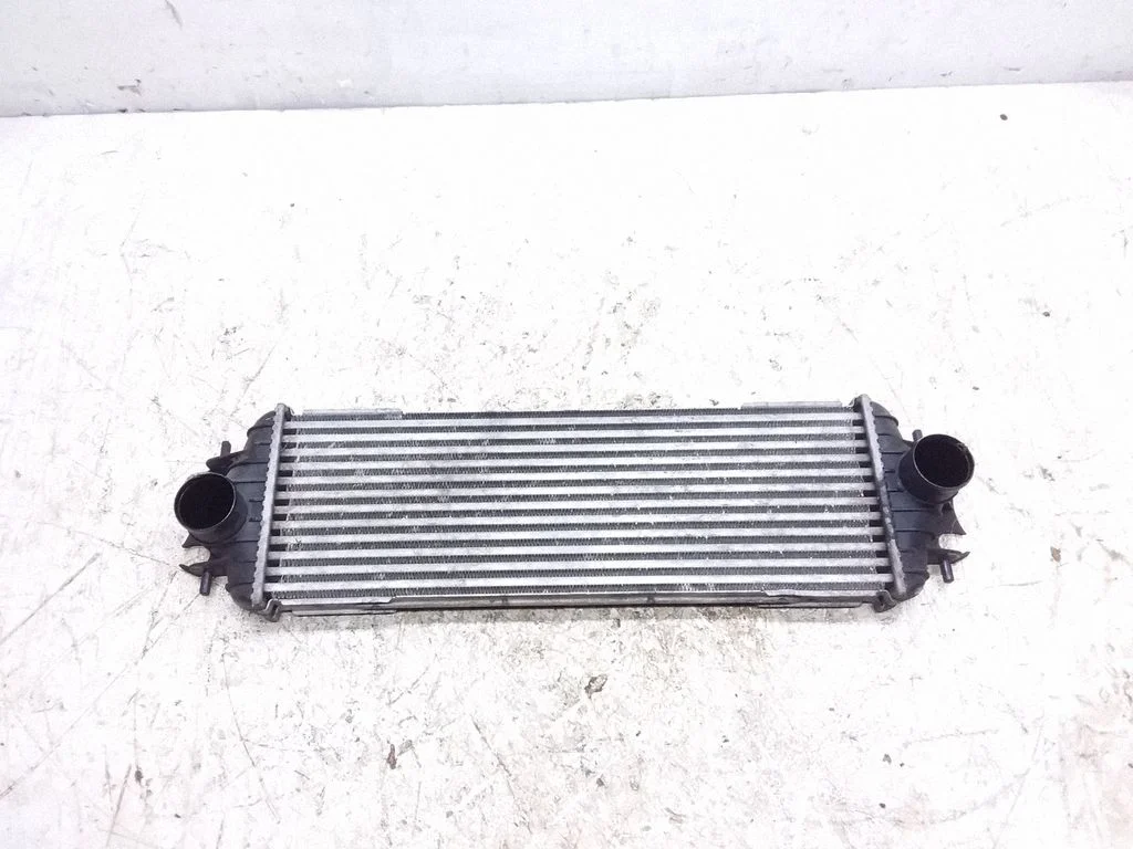 Vahejahuti radiaator – Volkswagen Cross Polo (2005-2009)