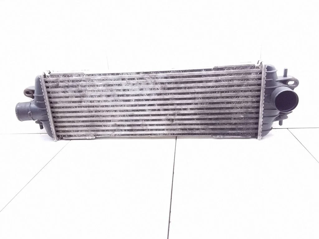 Starpdzesētāja (interkūlera) radiators 8200219497A