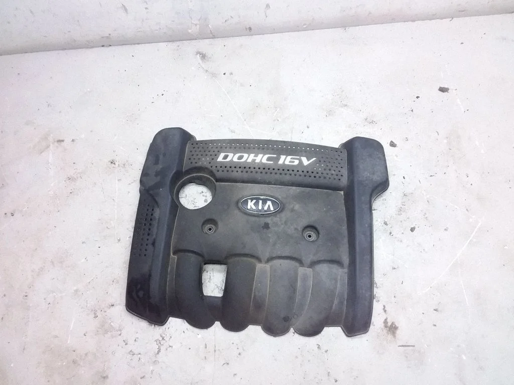 Engine cover (trim) 2924025211