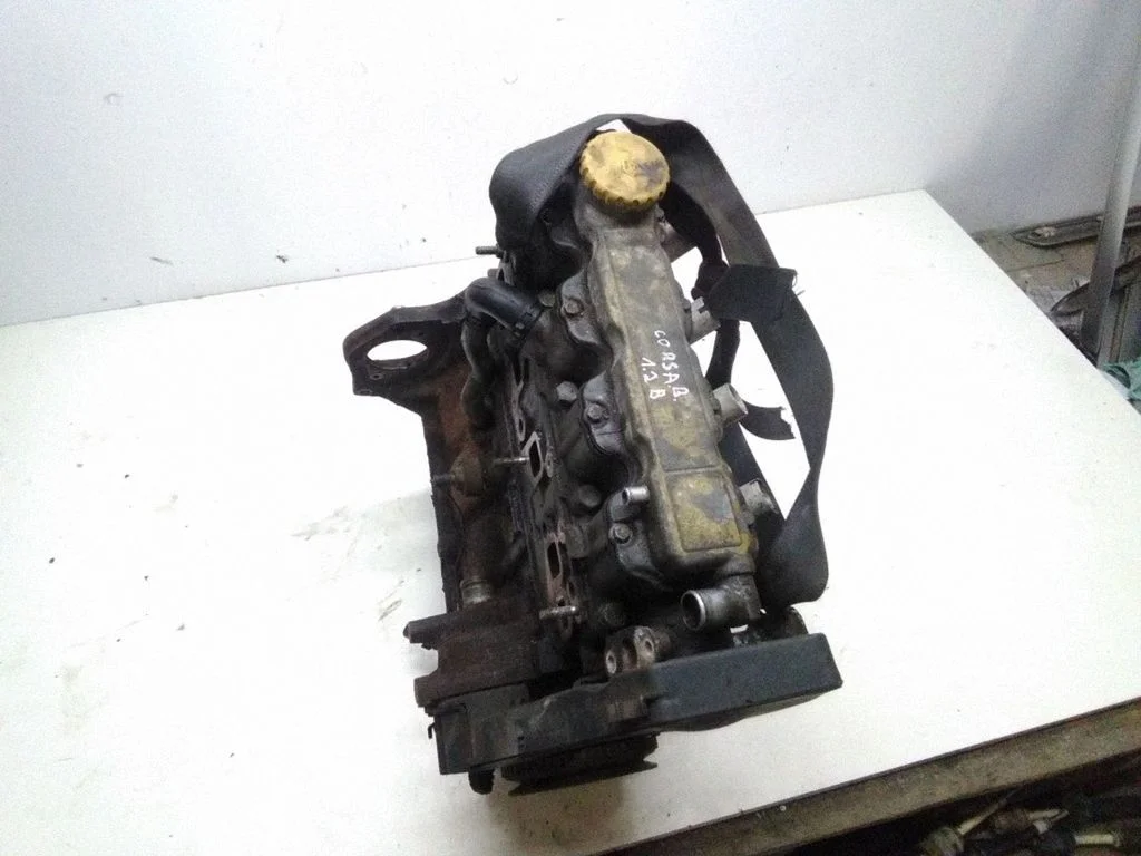 Mootor X12SZ