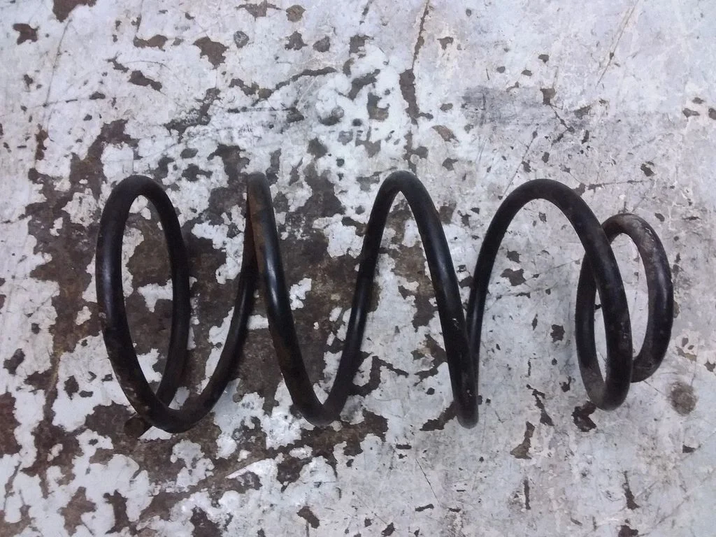 Front coil spring