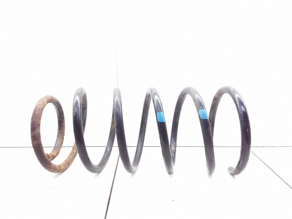 Front coil spring
