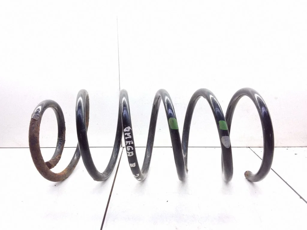 Front coil spring