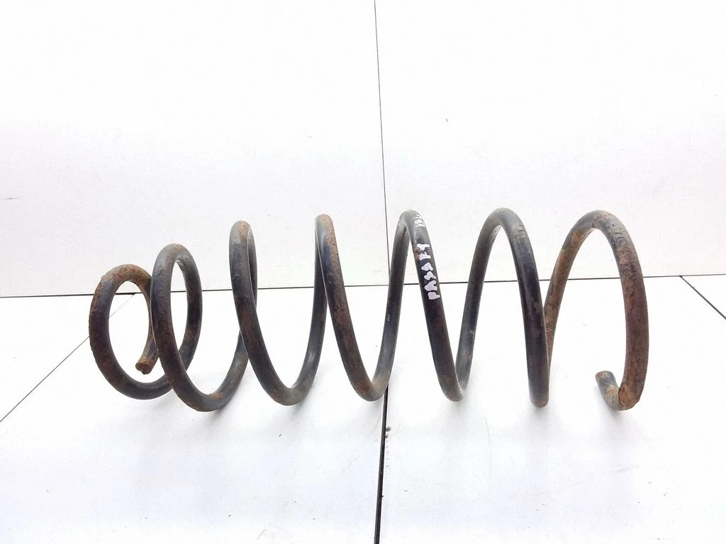Front coil spring
