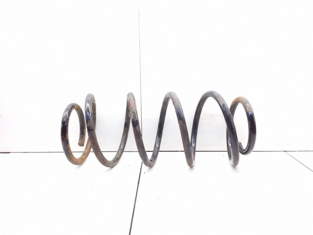 Front coil spring