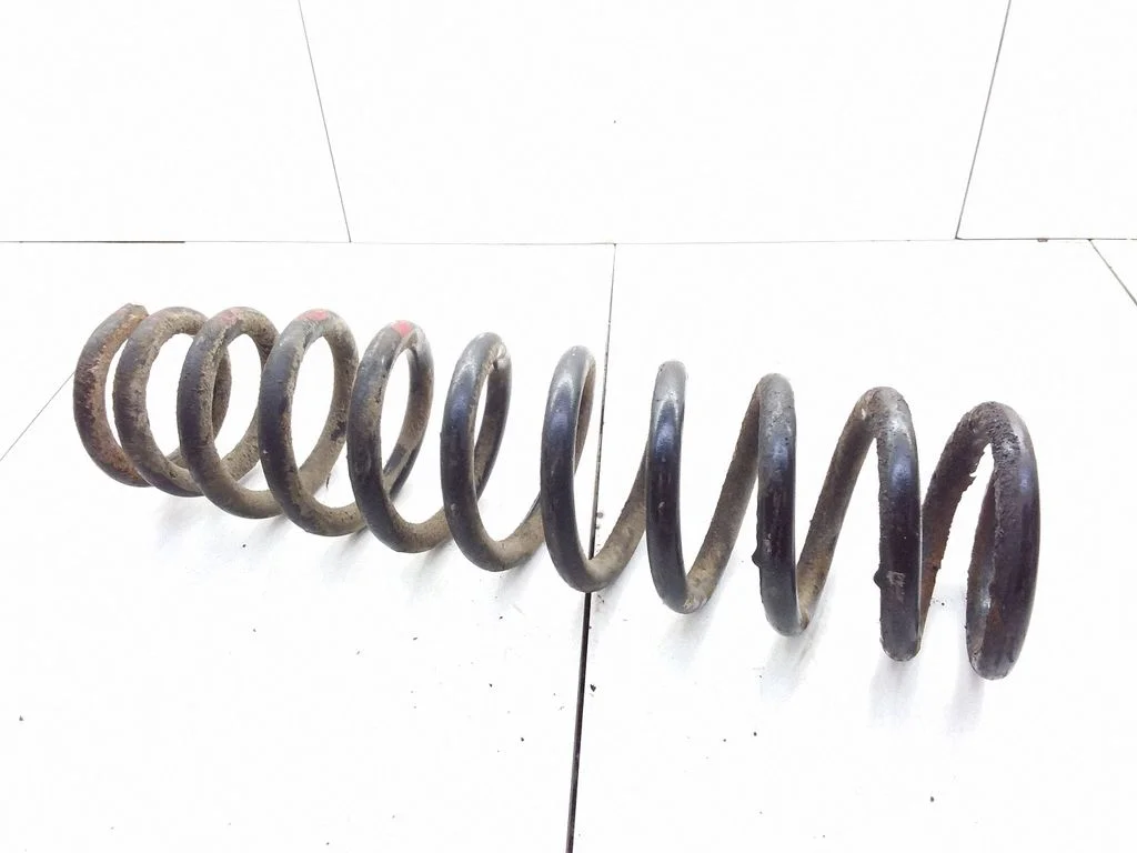Front coil spring