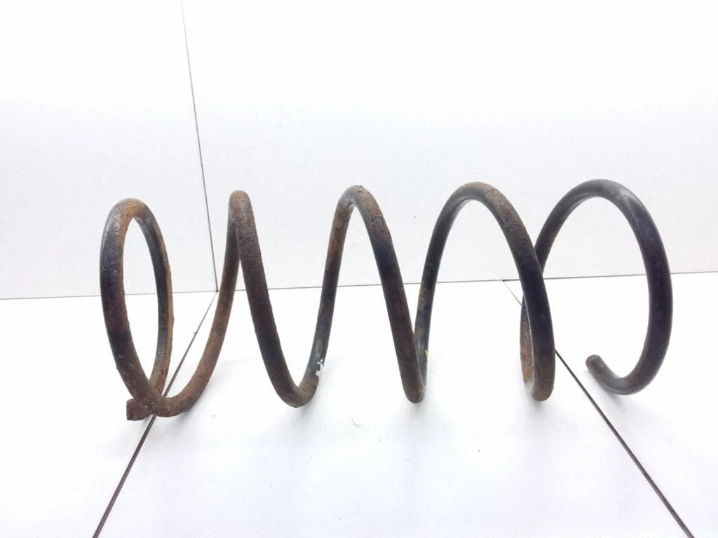 Front coil spring