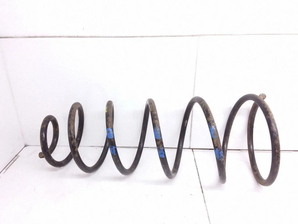 Front coil spring