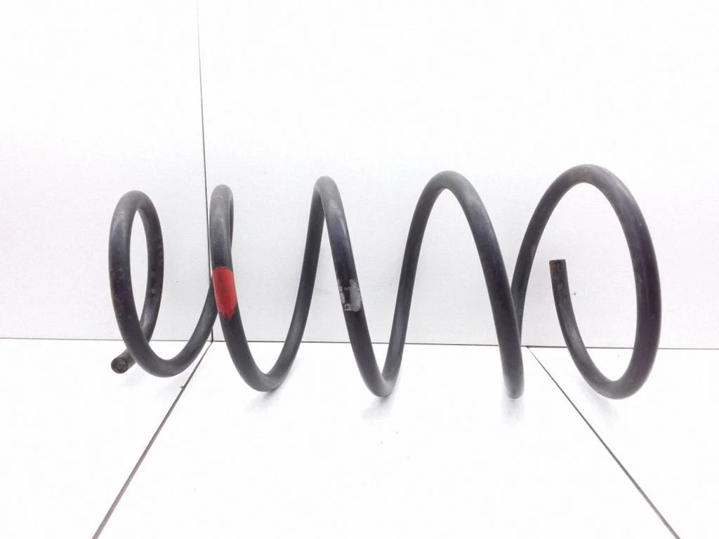 Front coil spring