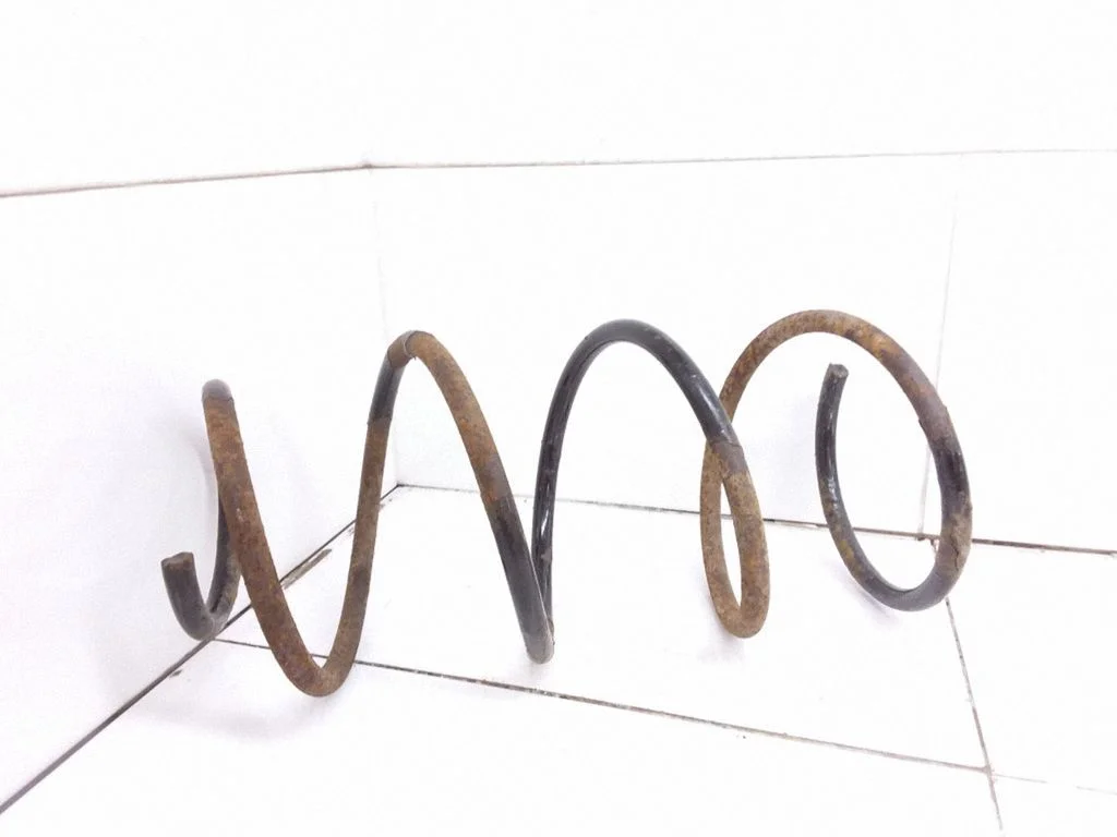 Front coil spring