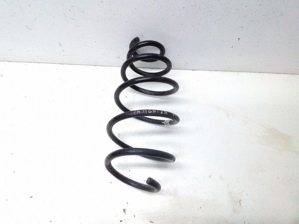 Front coil spring