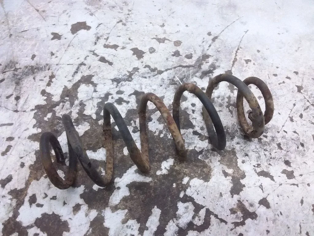 Rear coil spring