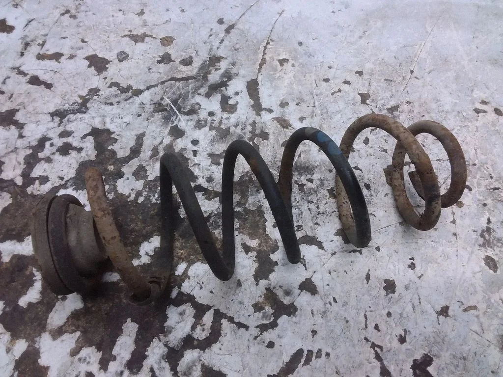 Rear coil spring