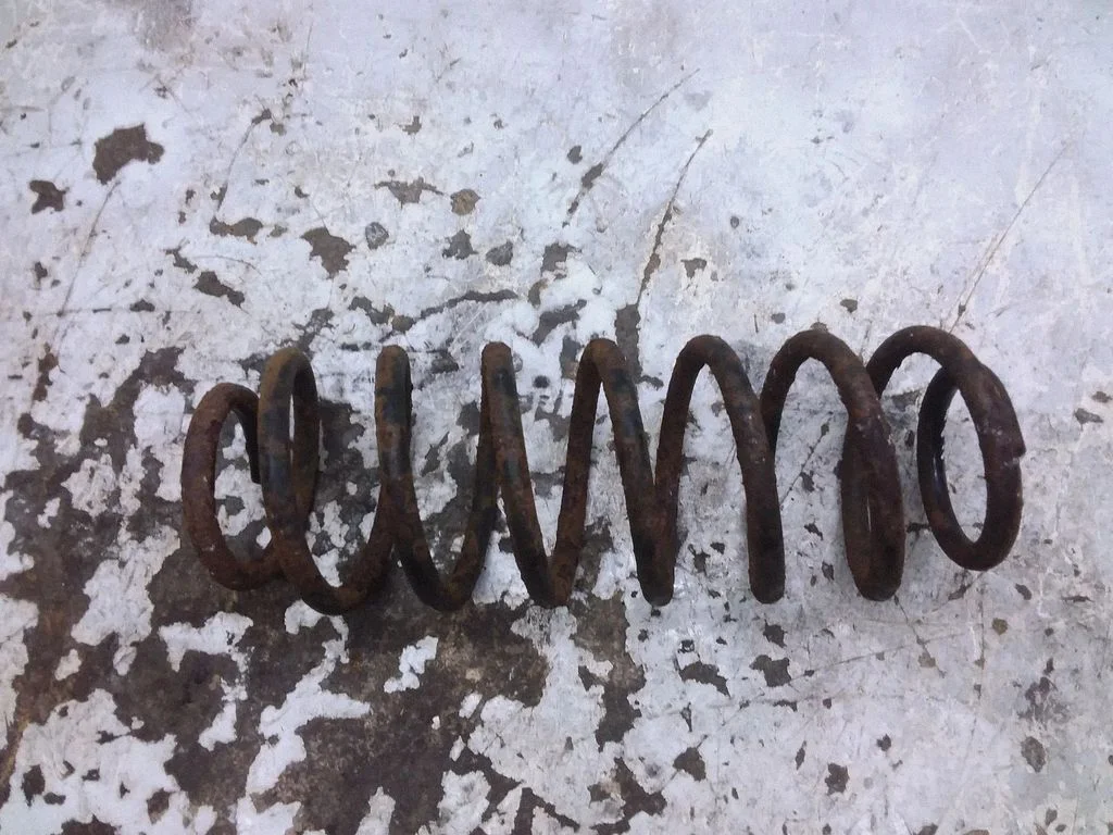 Rear coil spring