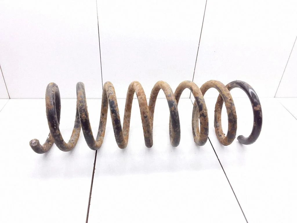 Rear coil spring
