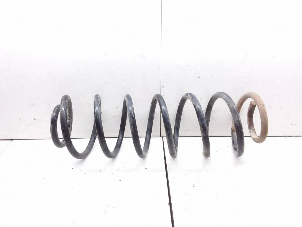 Rear coil spring