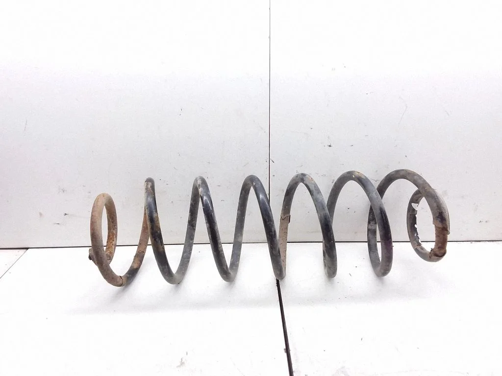 Rear coil spring