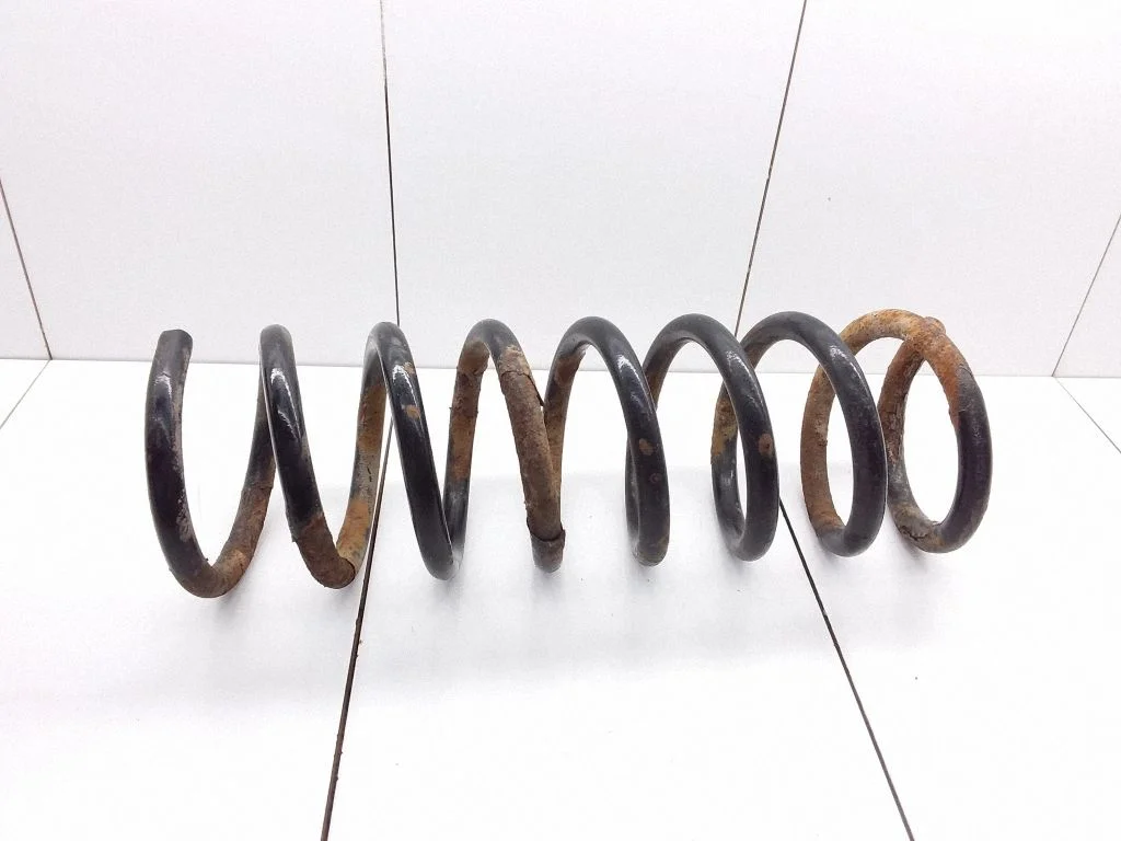 Rear coil spring