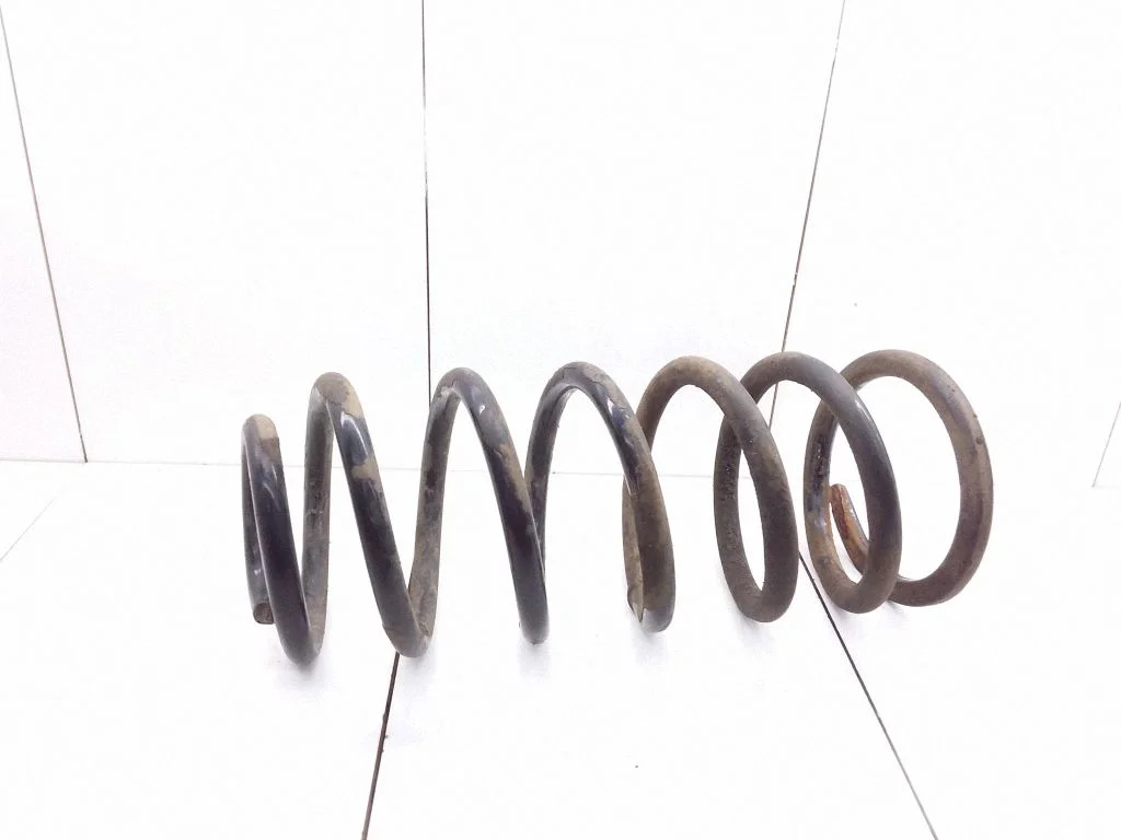 Rear coil spring