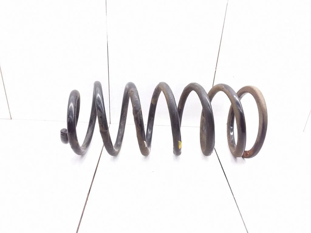 Rear coil spring