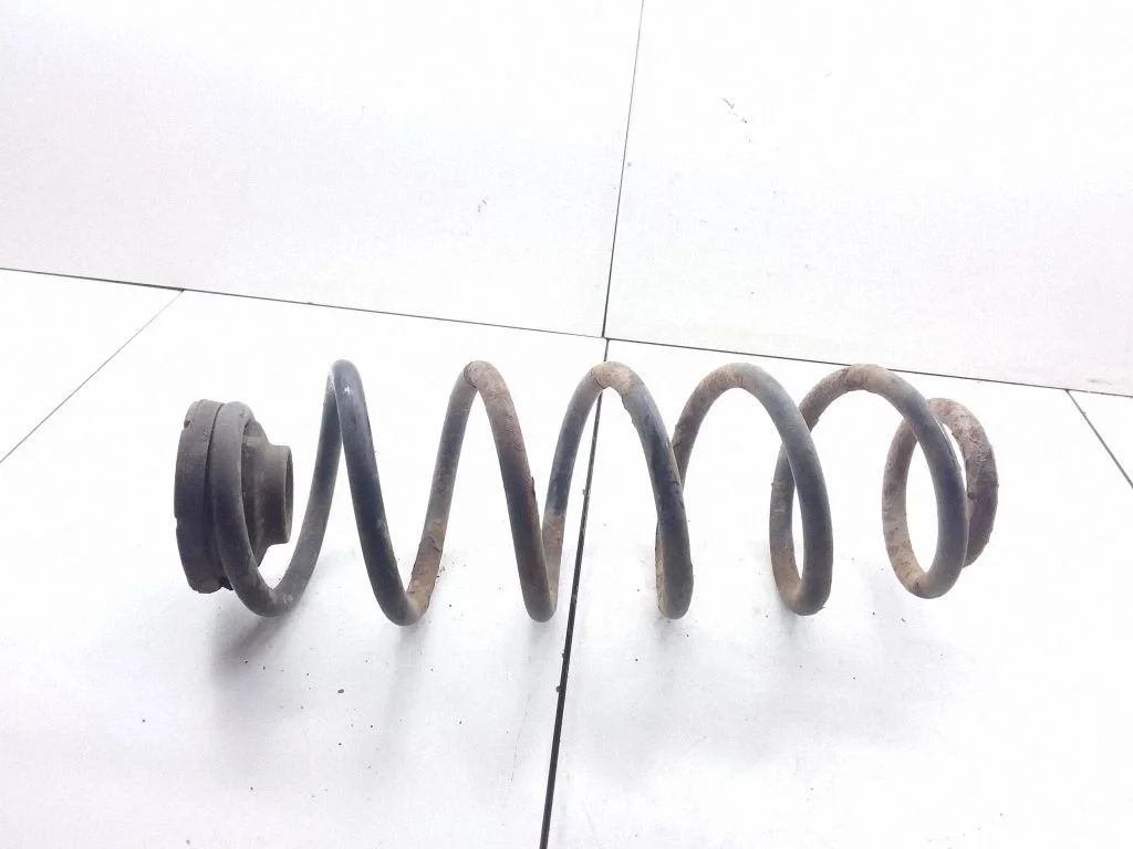 Rear coil spring