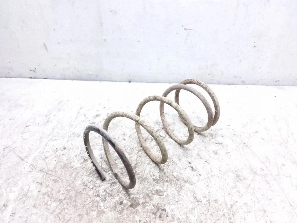 Rear coil spring