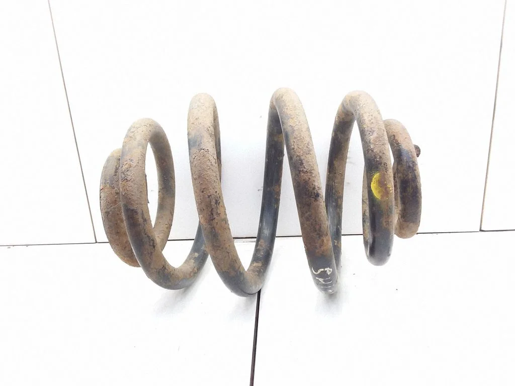 Rear coil spring