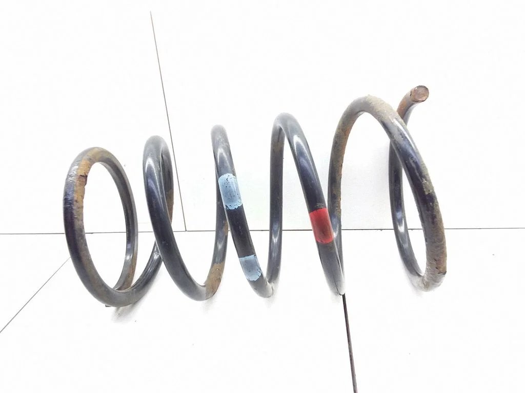 Rear coil spring