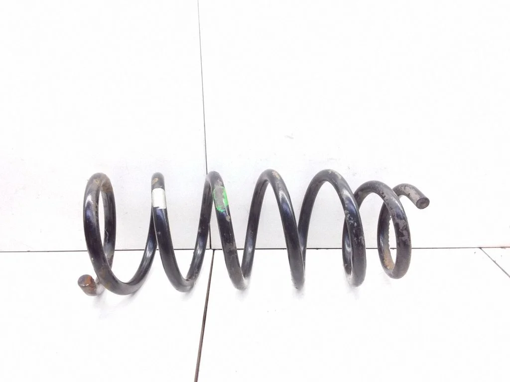 Rear coil spring