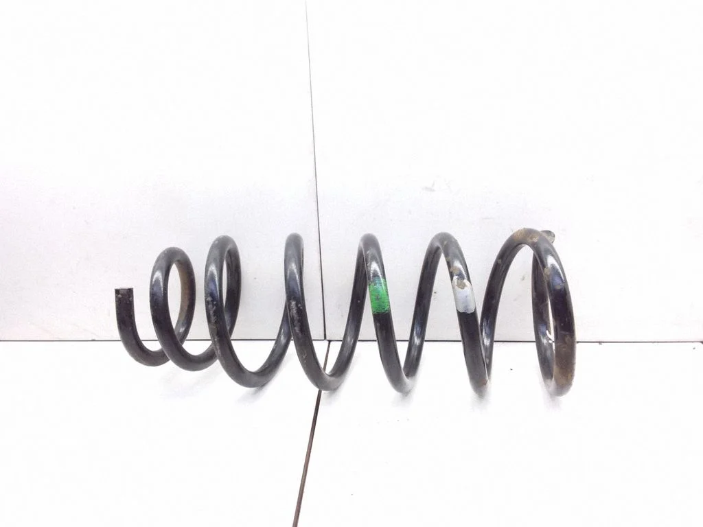 Rear coil spring