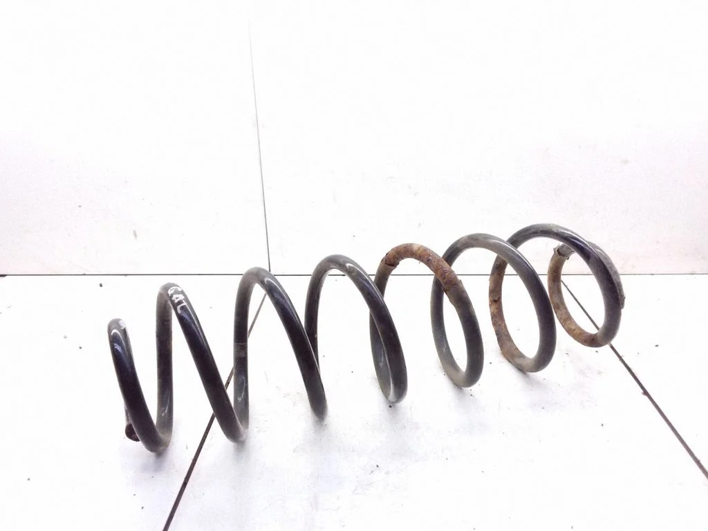 Rear coil spring