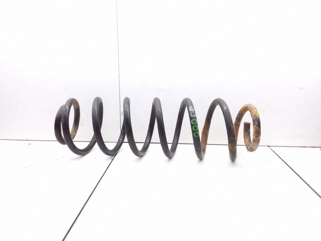 Rear coil spring