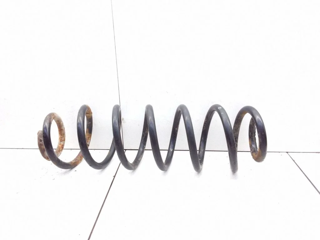 Rear coil spring