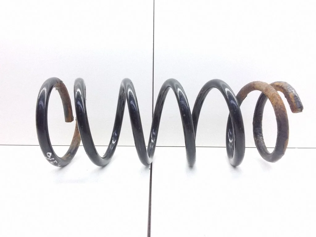 Rear coil spring