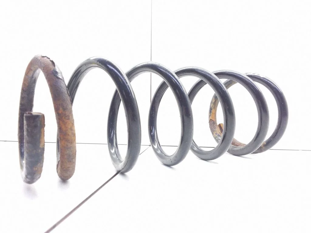 Rear coil spring