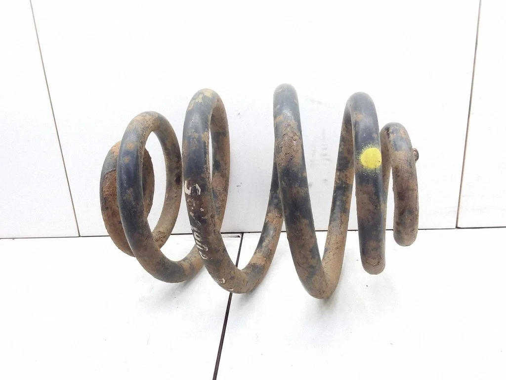 Rear coil spring