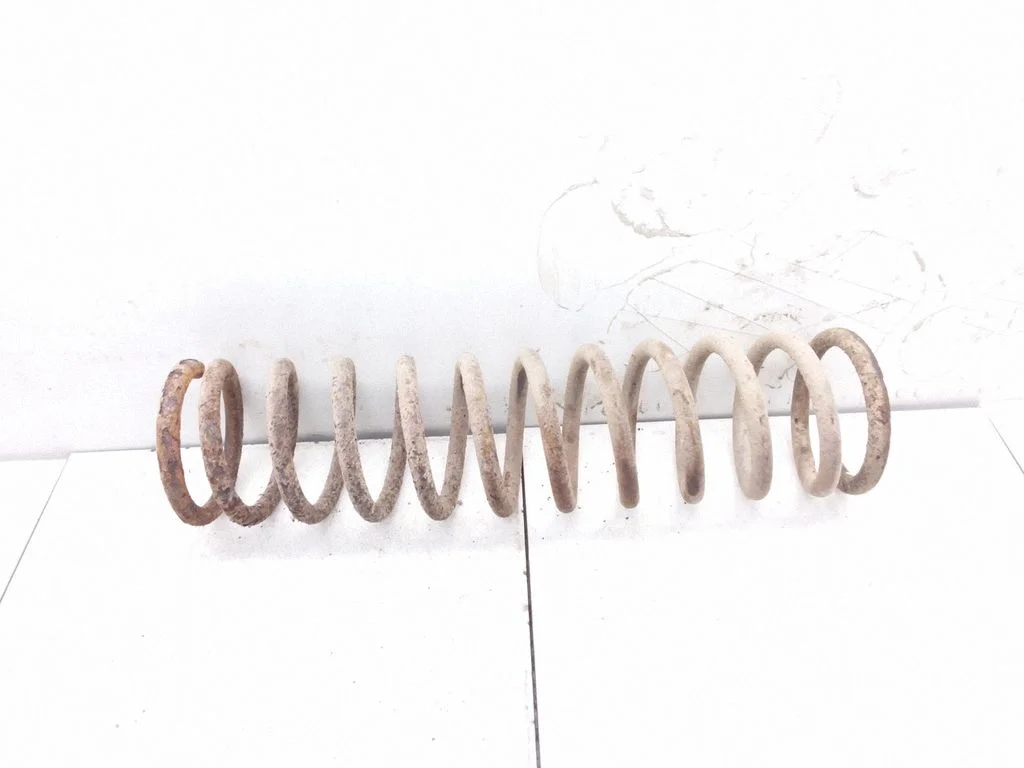 Rear coil spring
