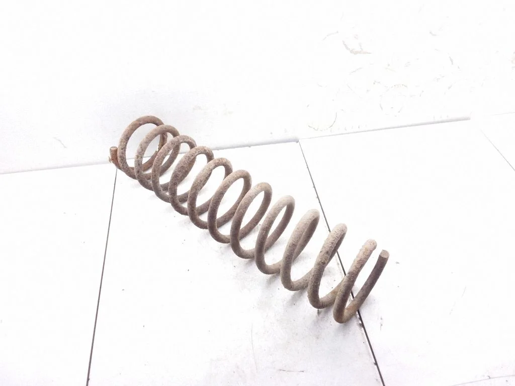 Rear coil spring