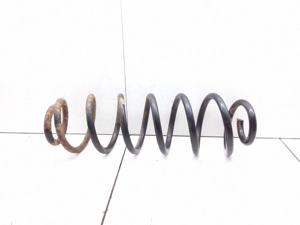 Rear coil spring