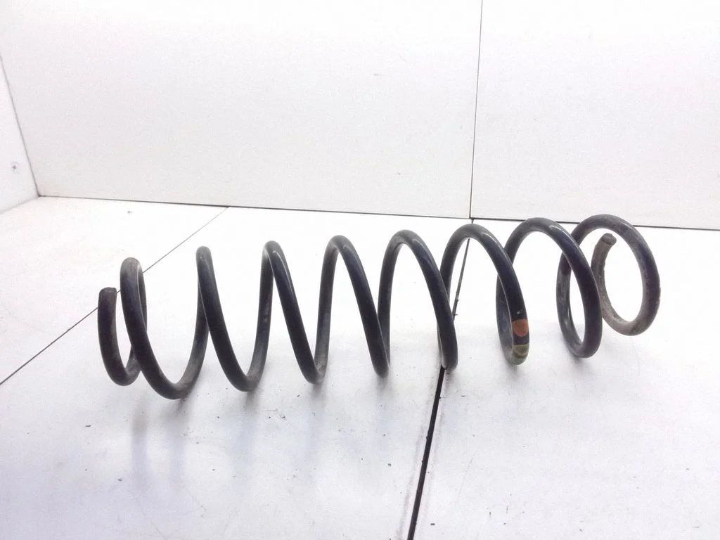 Rear coil spring
