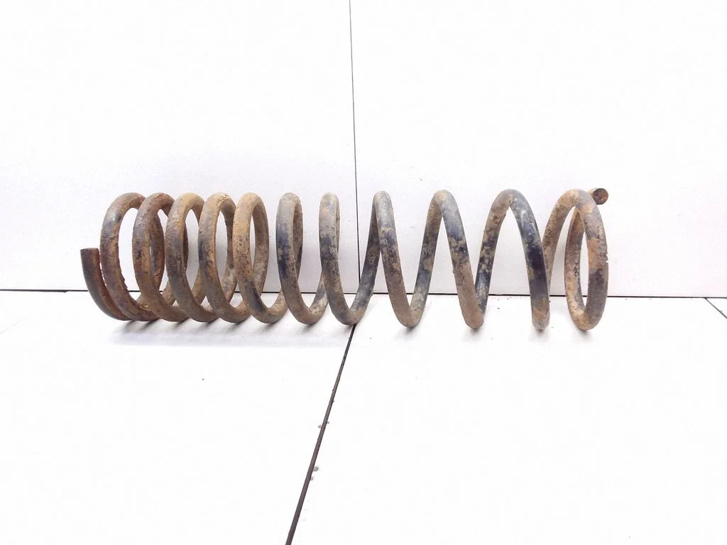 Rear coil spring