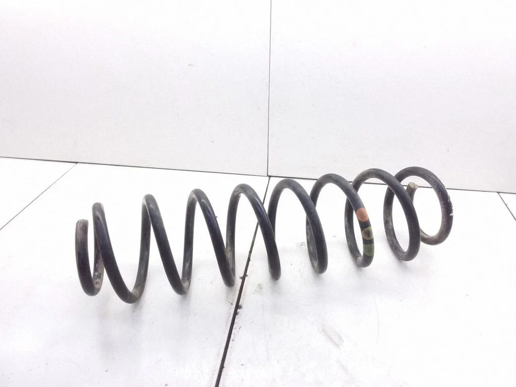 Rear coil spring