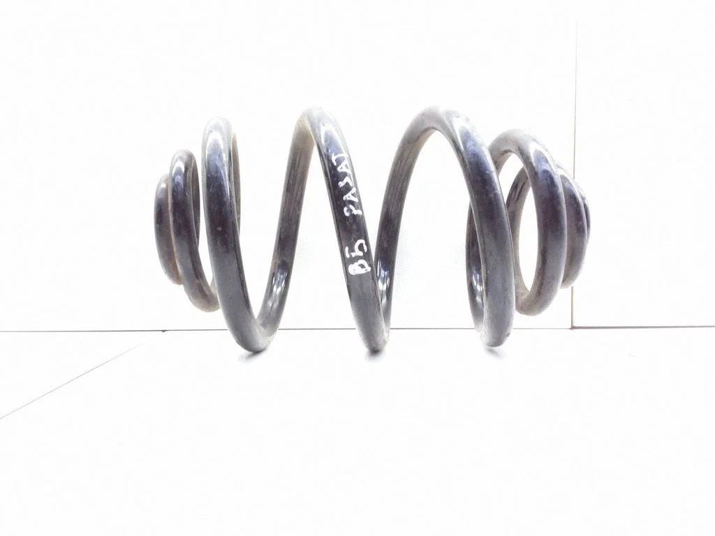 Rear coil spring